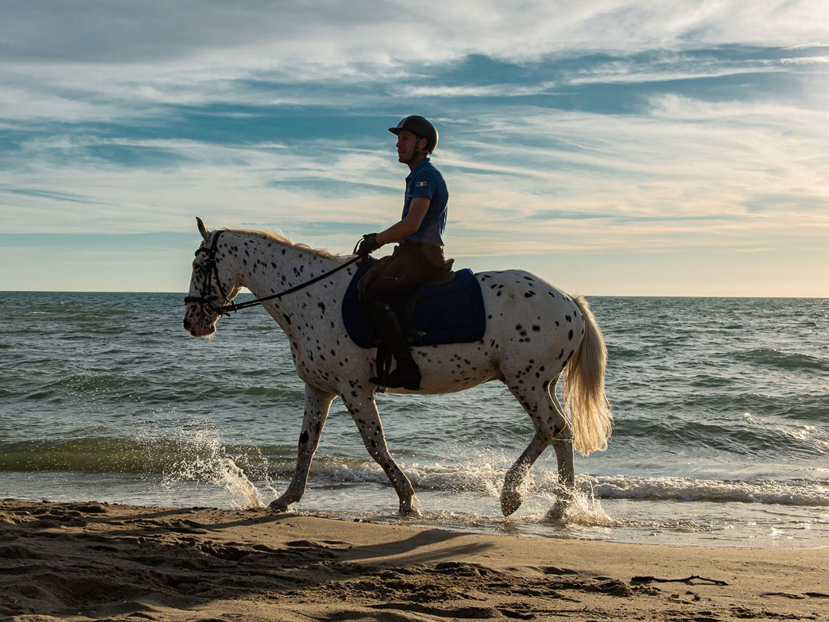 Passeggiate a Cavallo Cavallo Natura Centro Equestre Grosseto