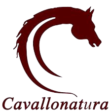 cavallonatura-logo-1 - png