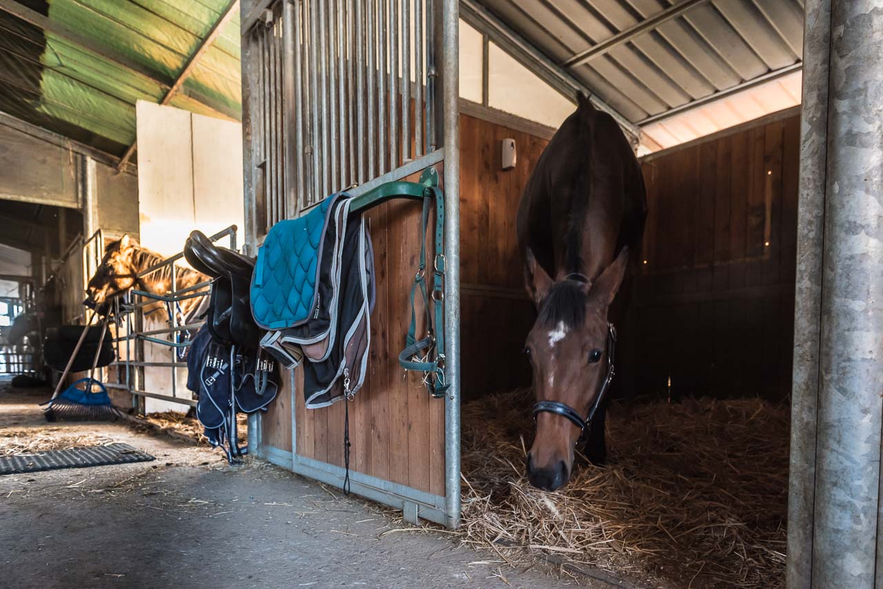 Cavallo Natura Pensione per cavalli