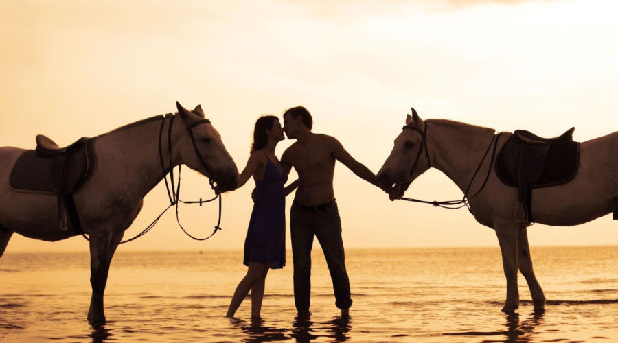 Passeggiata a Cavallo con Aperitivo - Calici al tramonto Cavallonatura gallery5