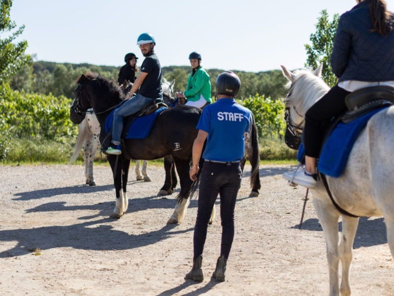 Passeggiata a cavallo Diaccia Botrona - Cavallonatura