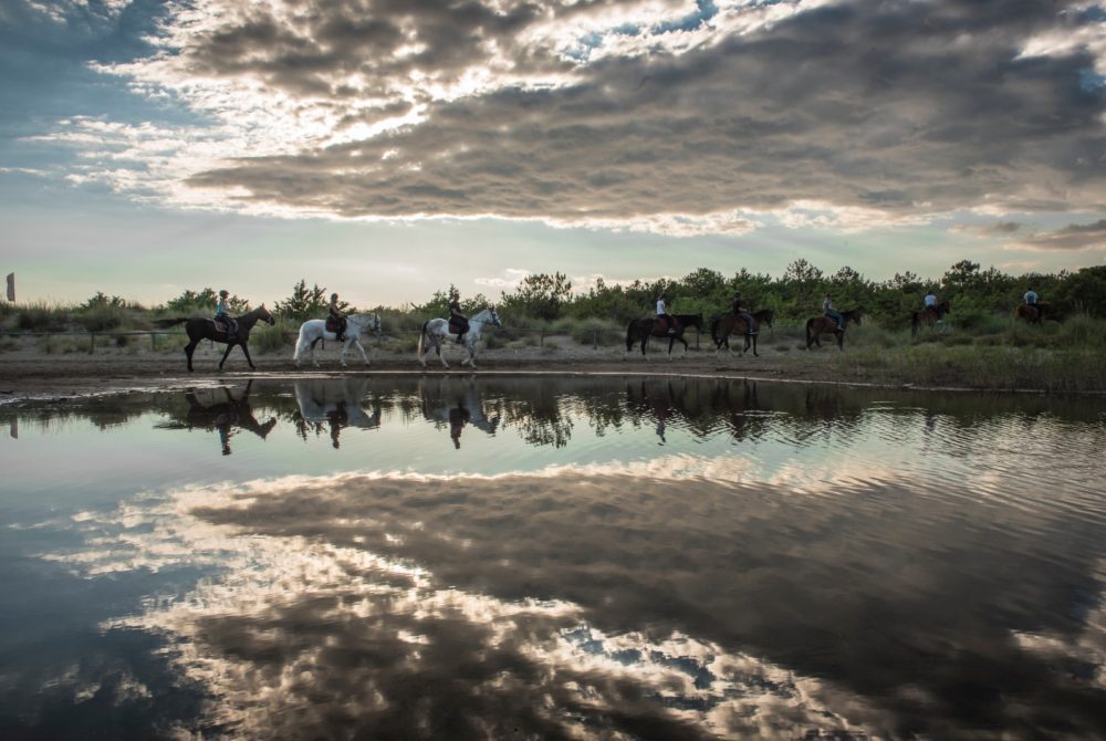 Passeggiate a Cavallo Cavallo Natura gallery perchè sceglierci6