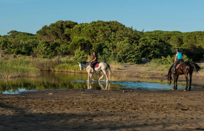 Passeggiate a cavallo per-principianti in Pineta del Tombolo Cavallonatura2