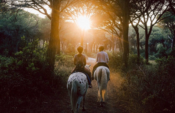 Passeggiate a cavallo per-principianti in Pineta del Tombolo Cavallonatura3