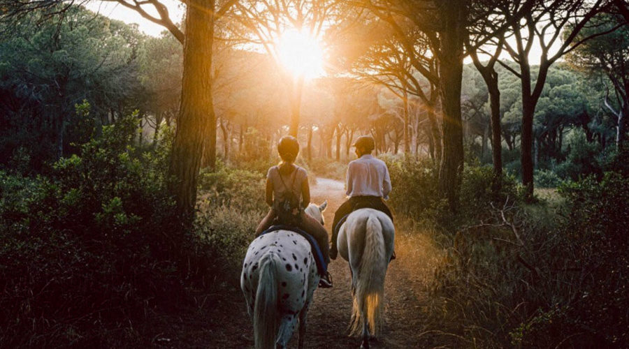 Passeggiate a cavallo per-principianti in Pineta del Tombolo Cavallonatura3