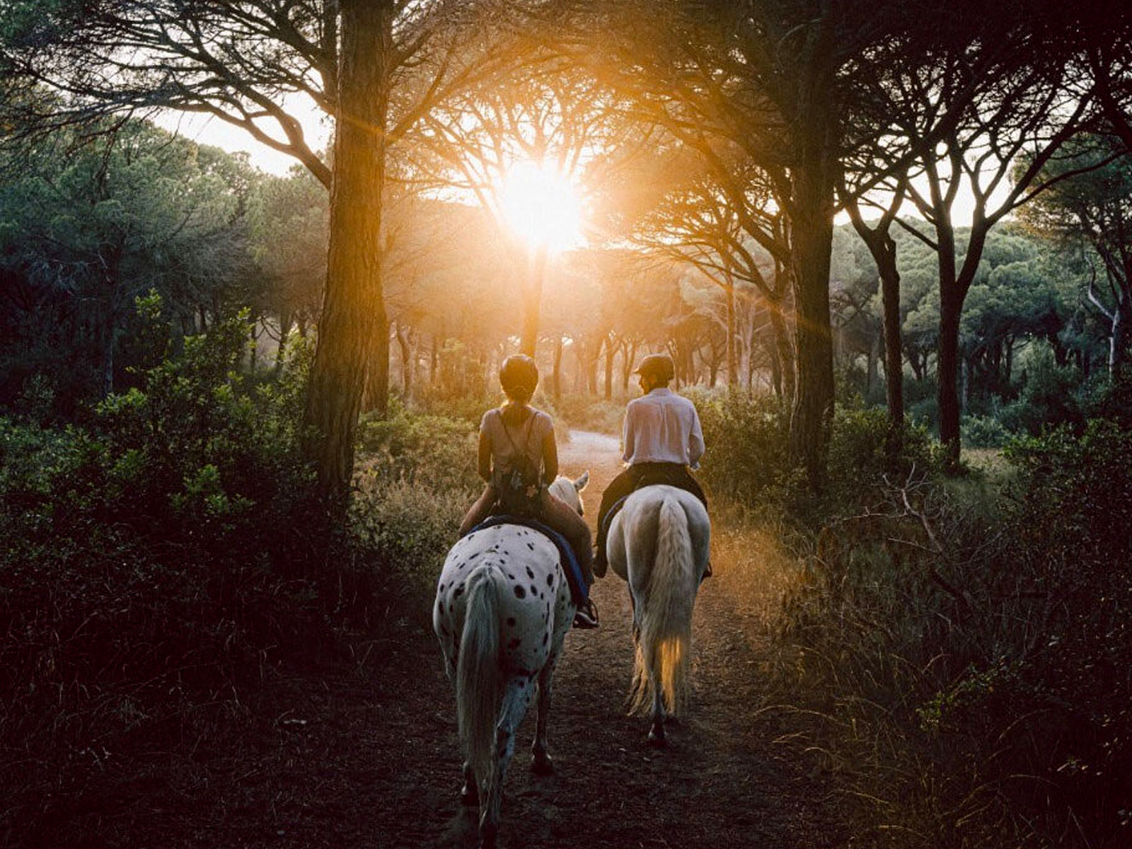 Passeggiate a cavallo per-principianti in Pineta del Tombolo Cavallonatura3