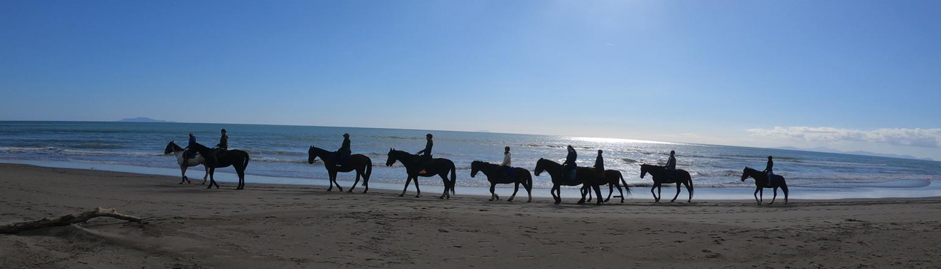 Passeggiate di gruppo in Maremma Cavallo Natura Centro Equestre Grosseto