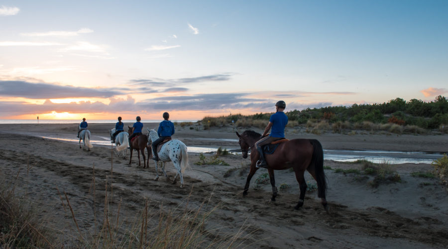 galley CavalloNatura Centro Equestre Grosseto2