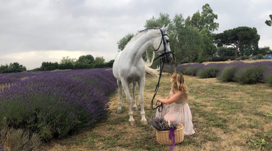 gite a cavallo, i servizi fotografici di Cavallonatura - gallery5
