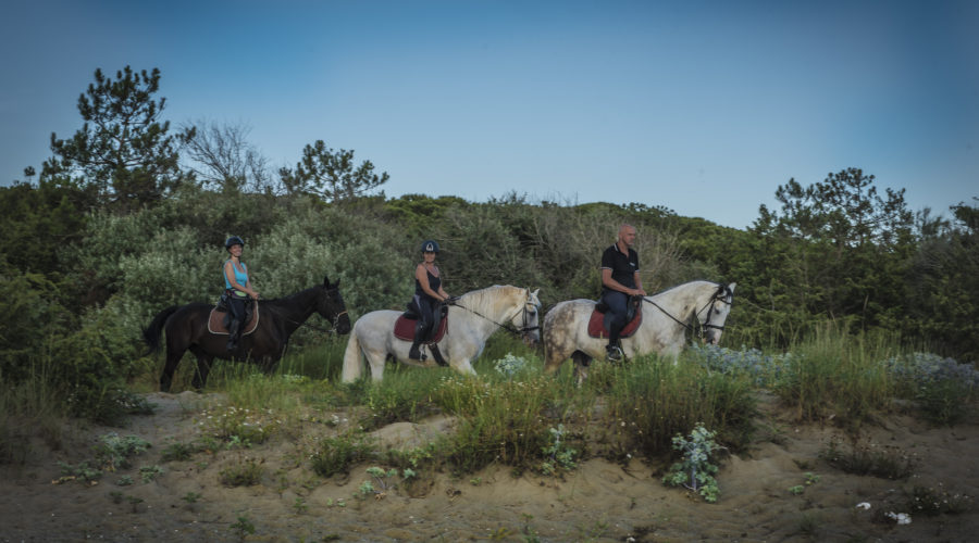 passeggiata a cavallo principianti Maremma Toscana Cavallonatura gallery1