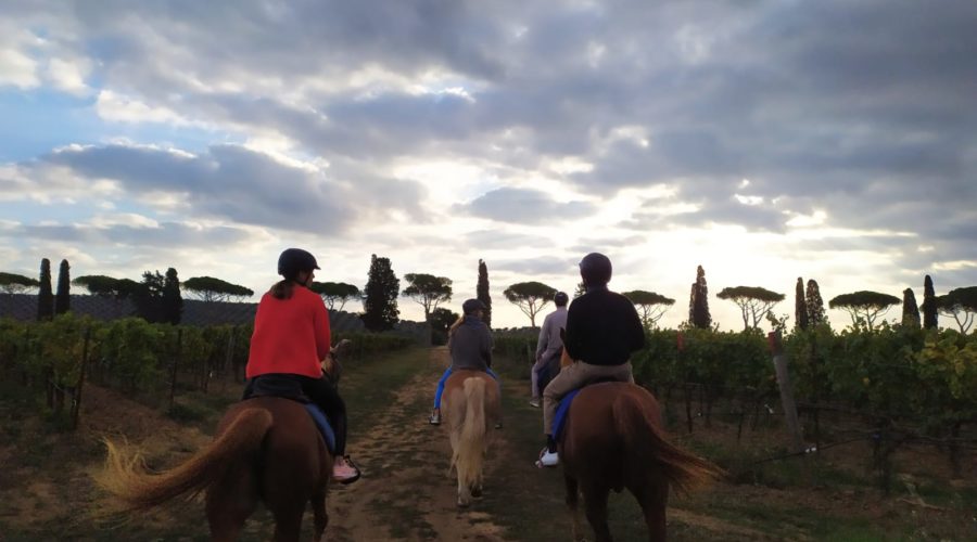 passeggiata a cavallo principianti Maremma Toscana Cavallonatura gallery2