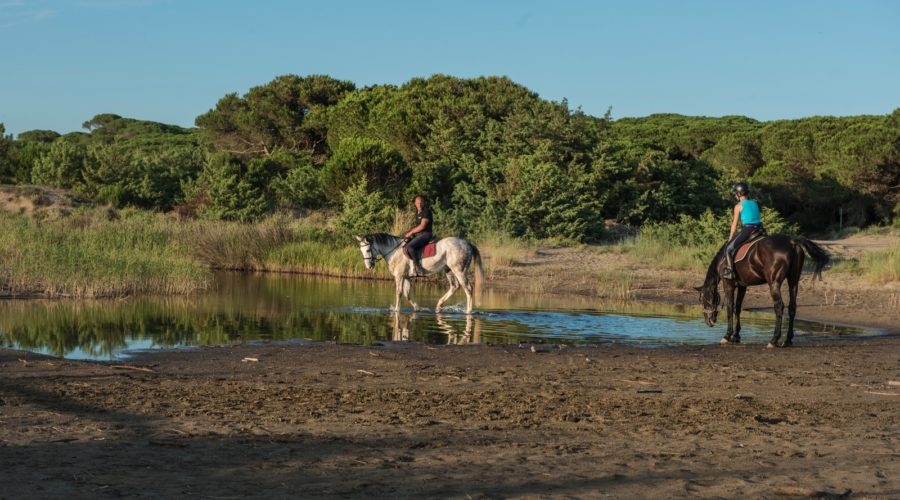 passeggiata a cavallo principianti Maremma Toscana Cavallonatura gallery5