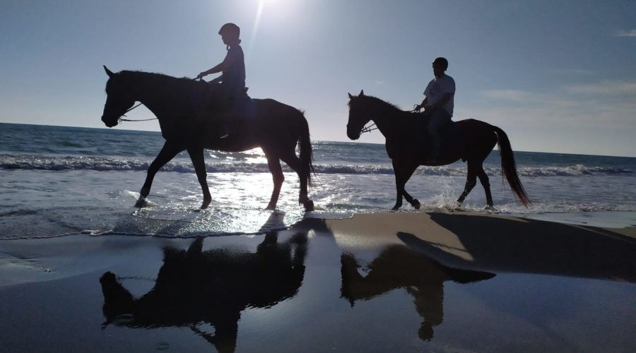 passeggiata a cavallo principianti Maremma Toscana Cavallonatura gallery7