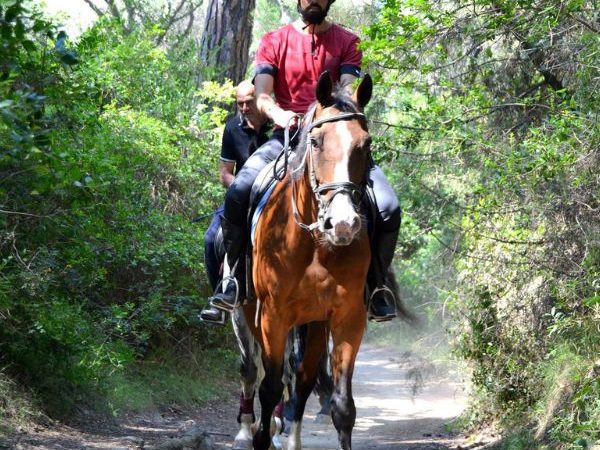 Passeggiata a cavallo in toscana, Autunno in pineta CavalloNatura centro equestre Grosseto