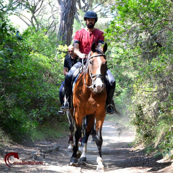 Passeggiata a cavallo in toscana, Autunno in pineta CavalloNatura centro equestre Grosseto