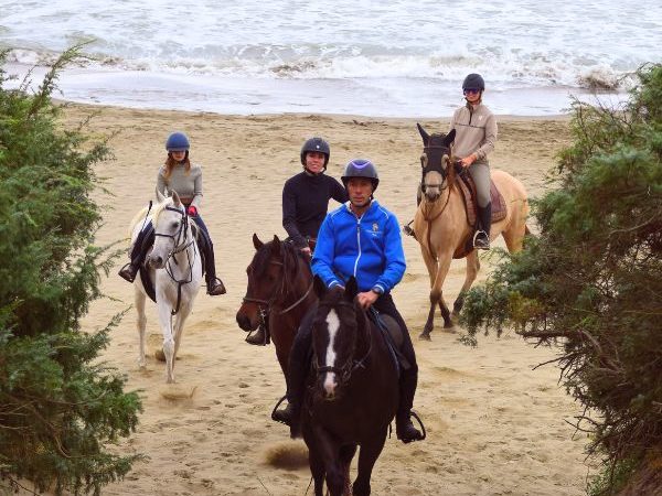 Cavallo Natura Regalo passeggiata Cavallo Natale 2025