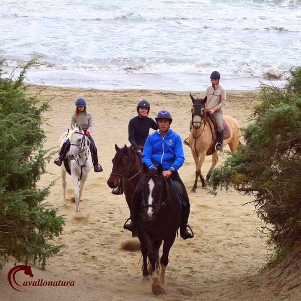 Cavallo Natura Regalo passeggiata Cavallo Natale 2025