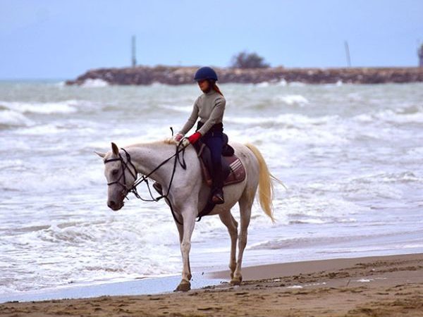 Passeggiata a cavallo in spiaggia e in pineta In Maremma Toscana CavalloNatura