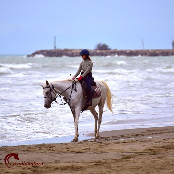 Passeggiata a cavallo in spiaggia e in pineta In Maremma Toscana CavalloNatura