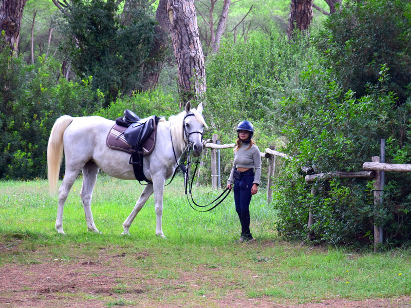 Passeggiate in spiaggia e pineta a cavallo Cavallonatura