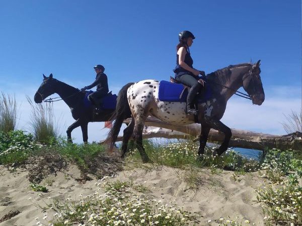 Escursioni a cavallo in Maremma scoprire la natura passo dopo passo CavalloNatura