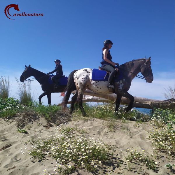 Escursioni a cavallo in Maremma scoprire la natura passo dopo passo CavalloNatura