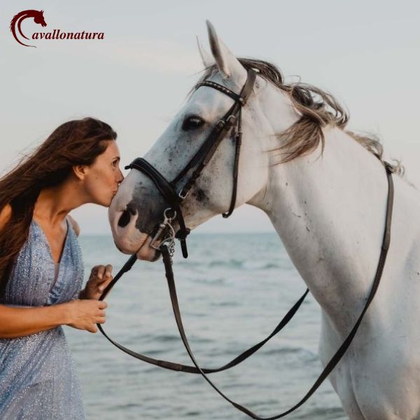 Prima passeggiata a cavallo cosa aspettarsi - Cavallo Natura